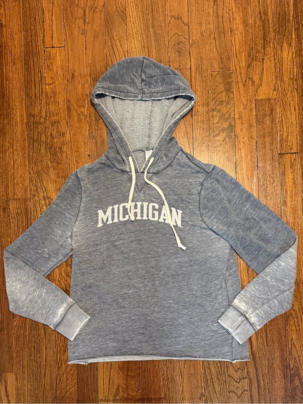 Alternative Apparel Michigan Wolverines Women’s Gray Burnout Hoodie Sweats,Small
